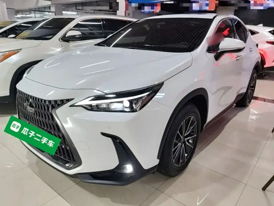 Lexus NX Model 200 Base Version 2026