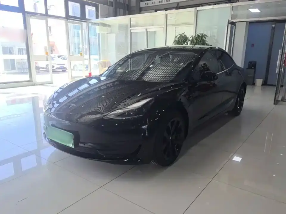 Tesla Model 3 Model Rear-Wheel Drive Version 2023