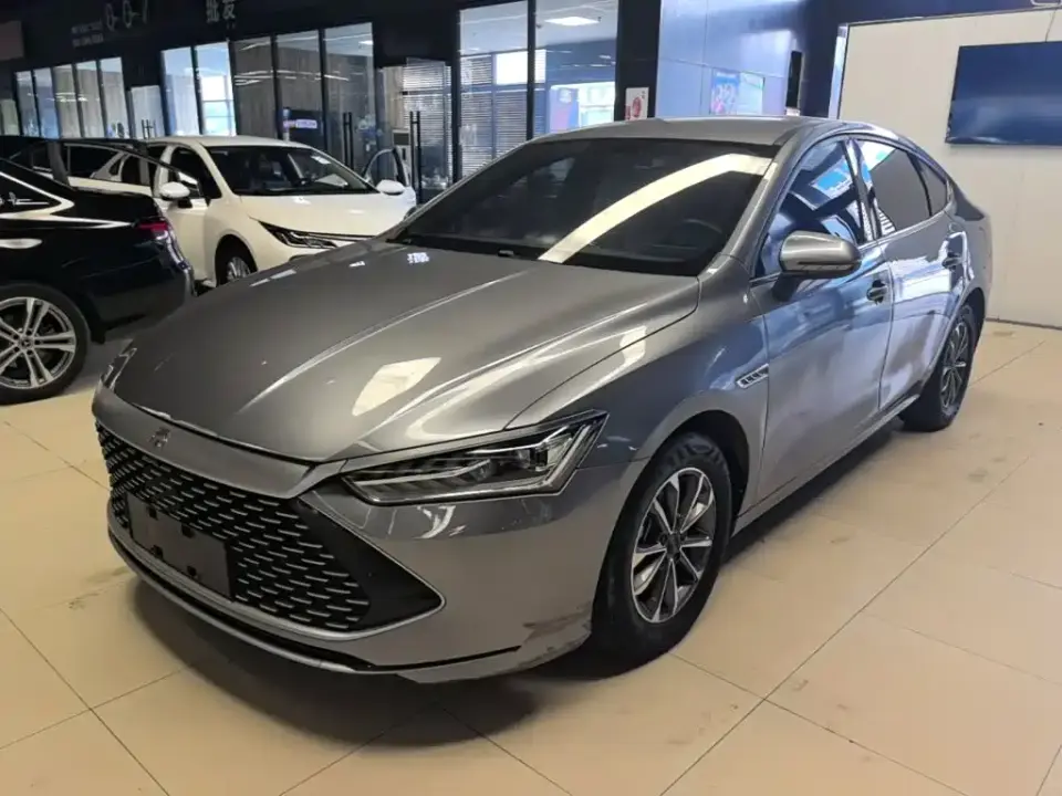 BYD Qin PLUS Champion Edition DM-i 55KM Leading 2024