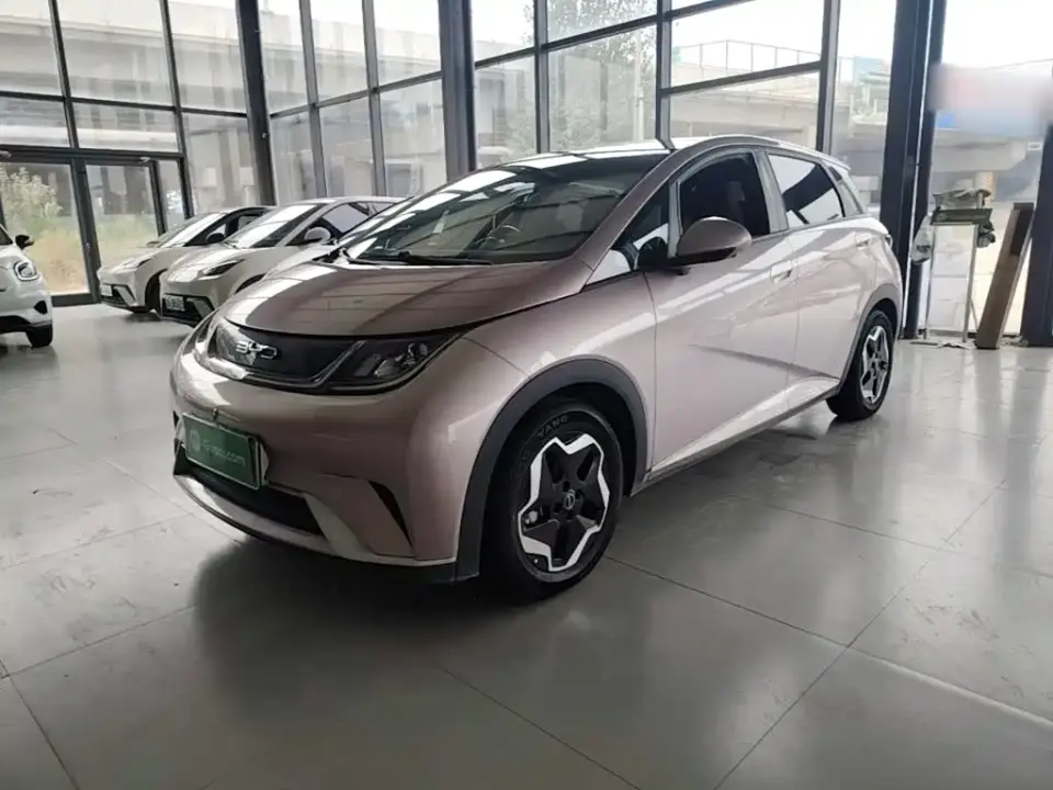 BYD Dolphin Model 405km Fashion Edition 2022