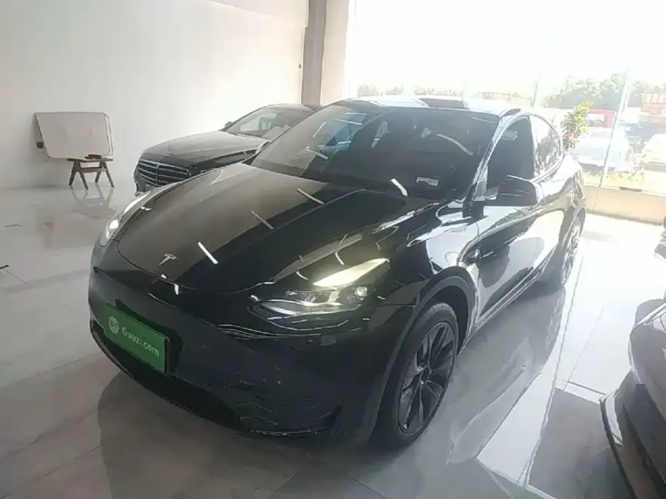 Tesla Model Y Rear-Wheel Drive Version 2024