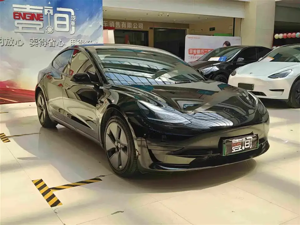 Tesla Model 3 Model Rear-Wheel Drive Version 2022