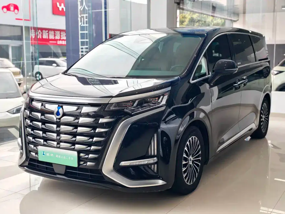 Denza D9 DM-i 1040 Premium 2023