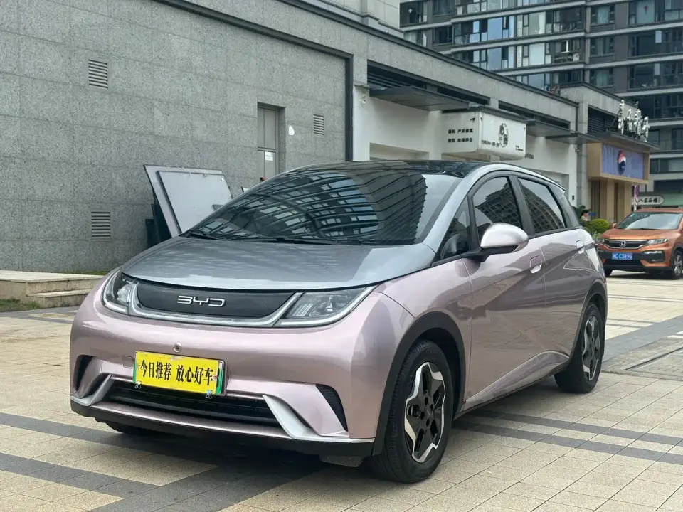 BYD Dolphin Model 405km Fashion Edition 2022