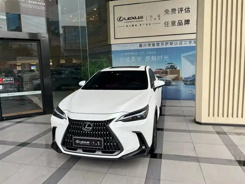 Lexus NX New Energy 400h+ Joy Edition 2022