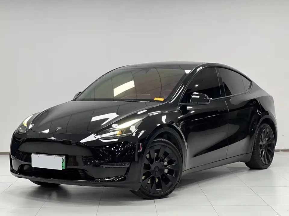 Tesla Model Y Standard Range Rear-Wheel Drive 2021