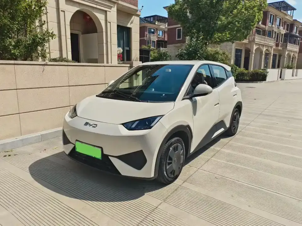 BYD Seagull Smart Drive Edition 305km Vitality Version 2025