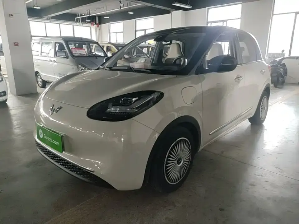 Wuling Motors Wuling Bingo Model 333km Joy+ Version 2024
