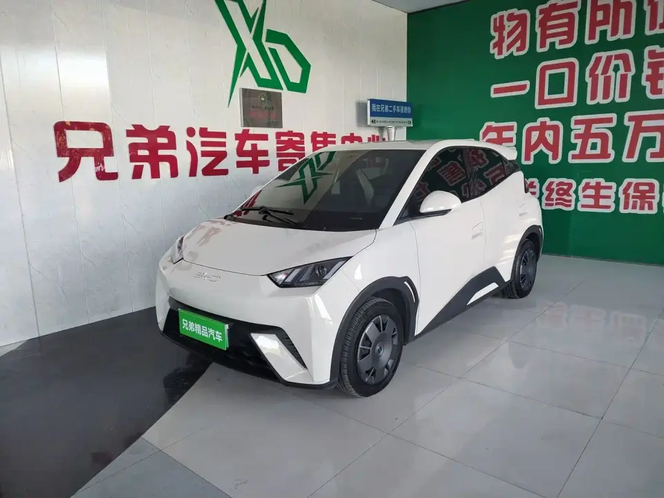 BYD Seagull 305km Vitality 2025