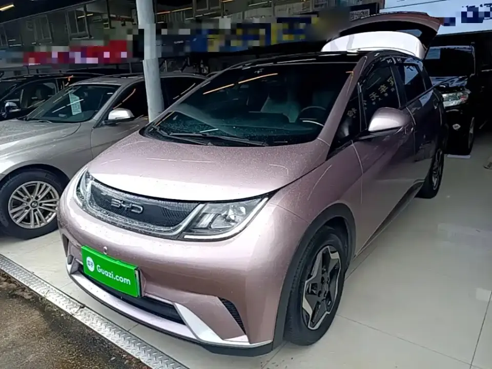 BYD Dolphin Model 405km Fashion Edition 2022