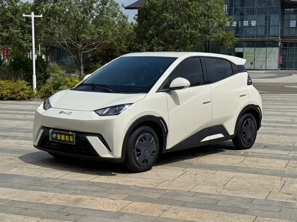 BYD Seagull 305km Freedom 2025