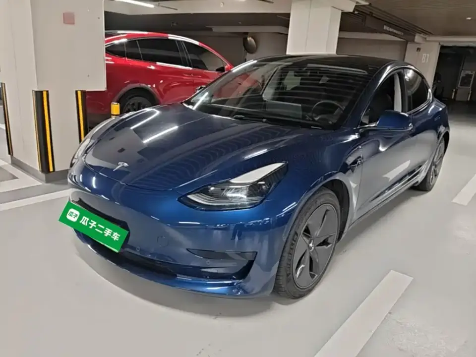 Tesla Model 3 Model Rear-Wheel Drive Version 2022
