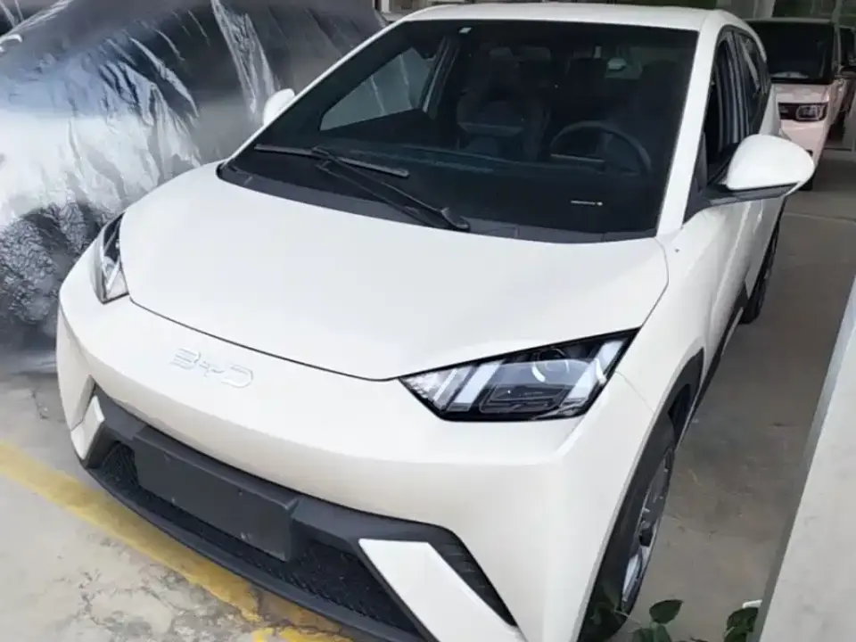 BYD Seagull Glory Edition 305km Vitality Edition 2024