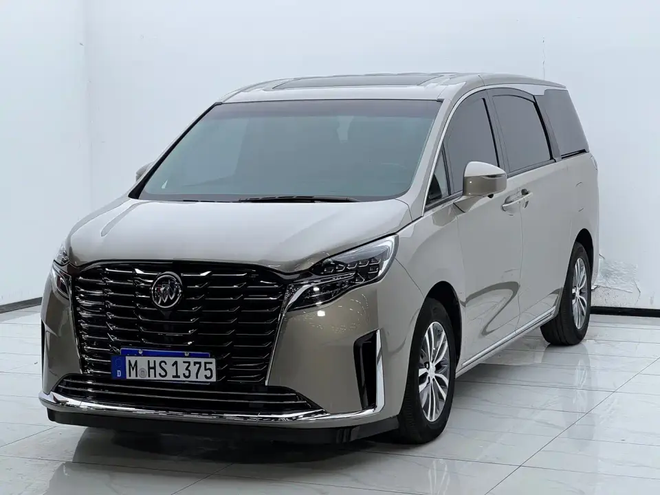 Buick GL8 ES Landmaster Comfort 2024