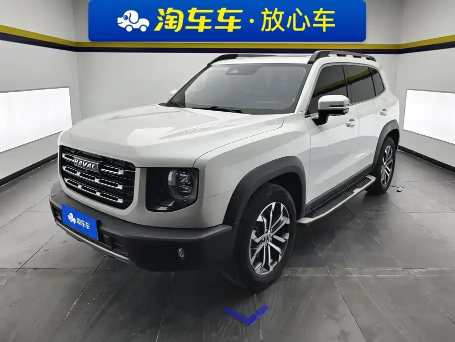 Haval Big Dog 1.5T DCT 2WD Border Collie - Wangcai Edition 2021