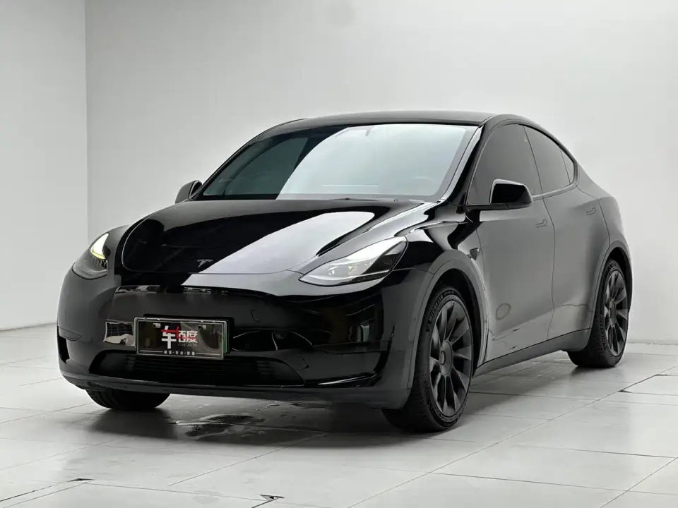 Tesla Model Y Rear-Wheel Drive Version 2022