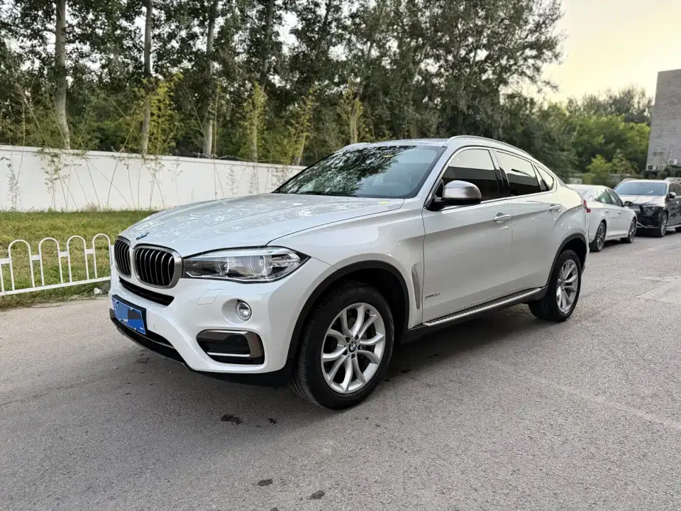 BMW X6 xDrive28i M Sport Package 2019
