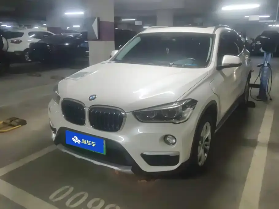 BMW X1 New Energy xDrive25Le Range Upgrade Edition 2019