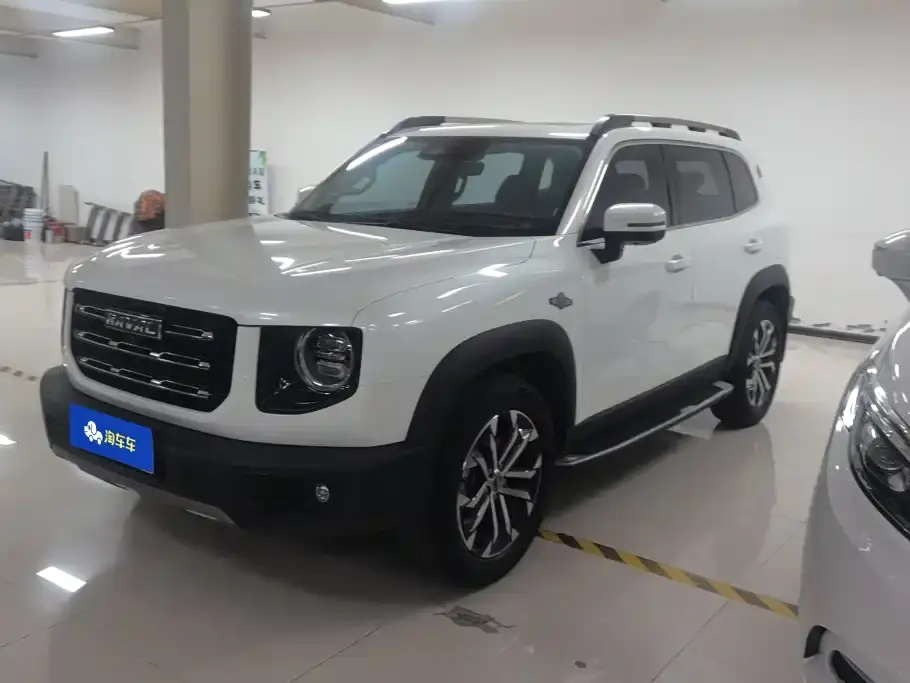 Haval Big Dog 1.5T DCT 2WD Border Collie - Wangcai Edition 2021