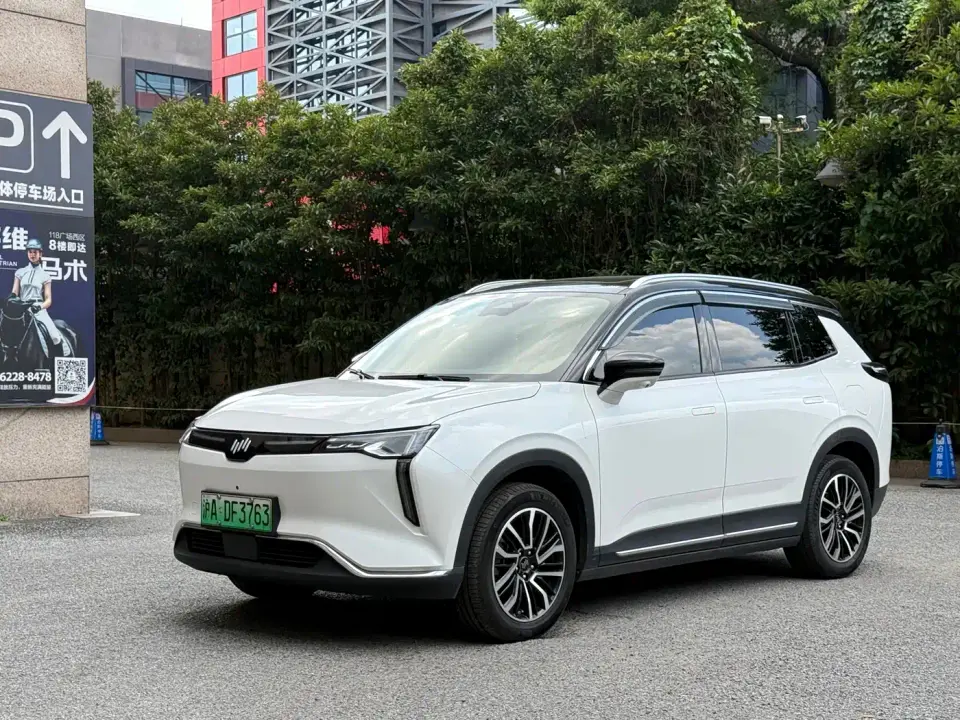Weltmeister W6 520km ACE Ultimate Smart Edition 2021