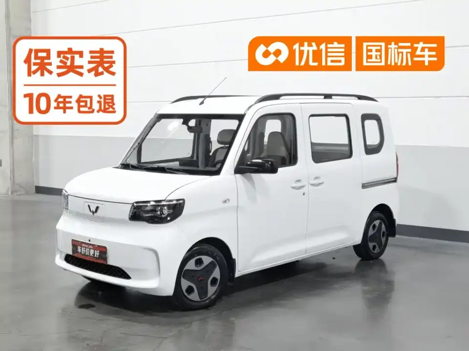 Wuling Motors Wuling Zhiguang NEV Model Comfort 2025