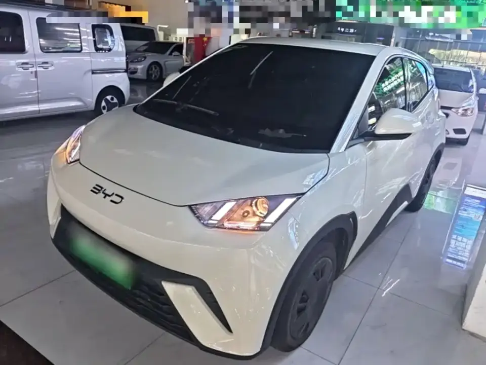 BYD Seagull Glory Edition 305km Vitality Edition 2025