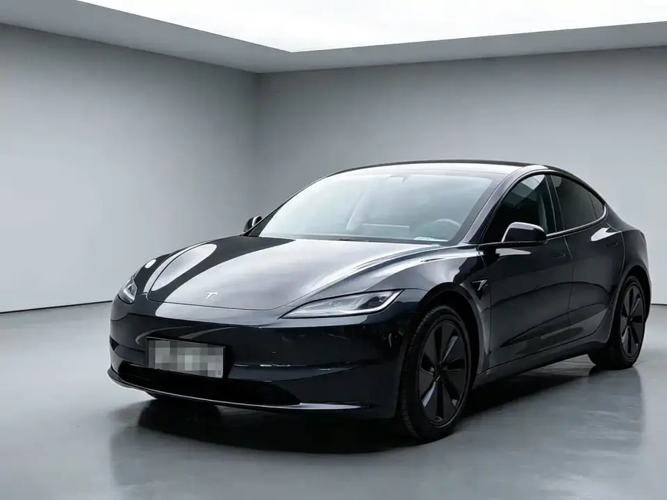 Tesla Model 3 Model Rear-Wheel Drive Edition 2025