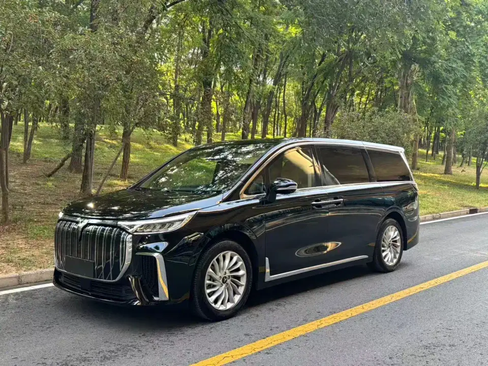 Voyah Auto Voyah Dreamer Zero Carbon Edition Home 475km 2024