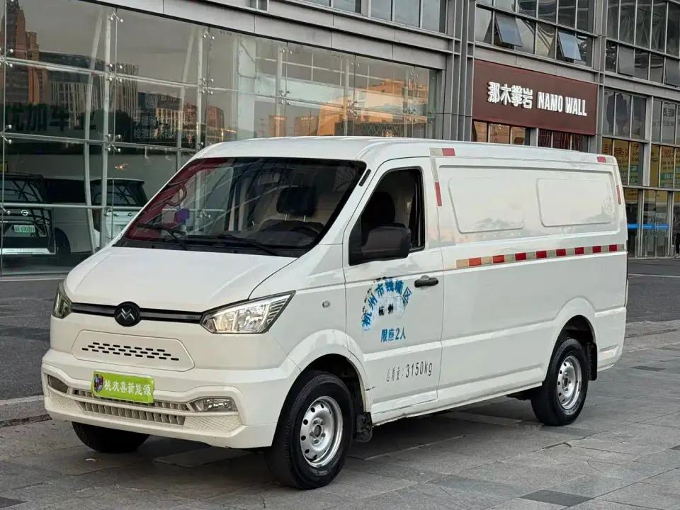 Singulato Gonow Shuai Ling Standard Range 41.64kWh Lishen Power 2021