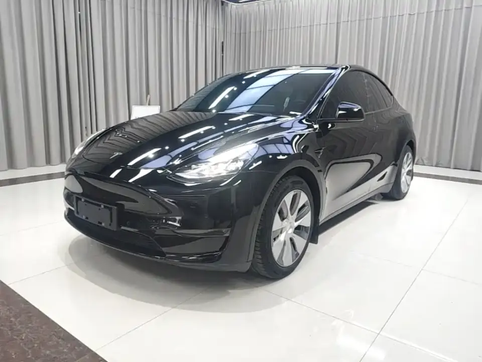 Tesla Model Y Standard Range Rear-Wheel Drive 2021