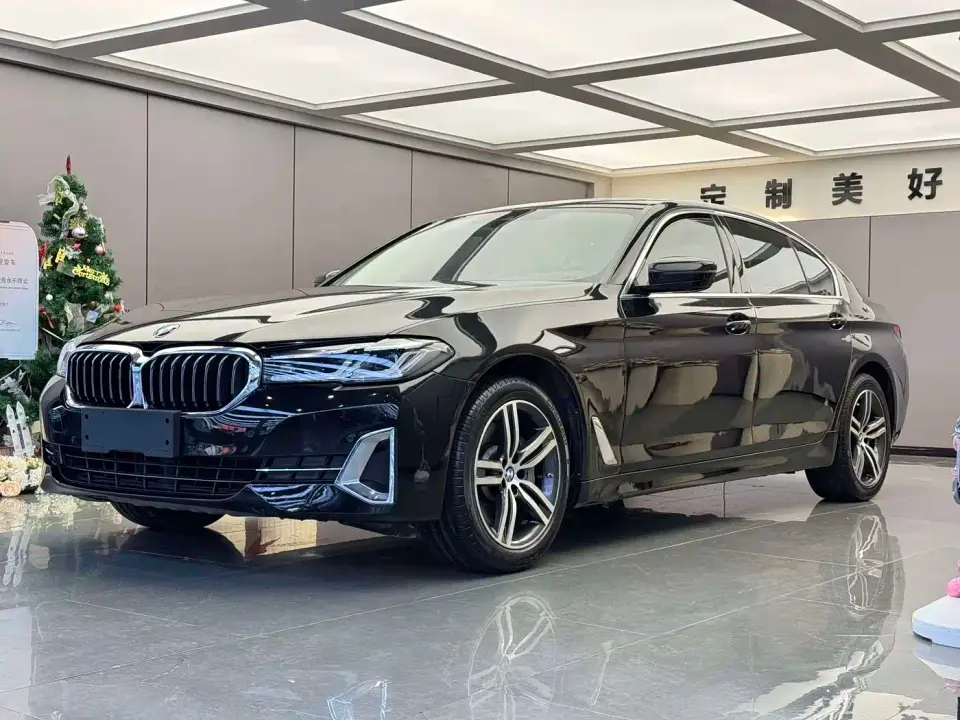 BMW 5 Series 530Li Leading Luxury Package 2021
