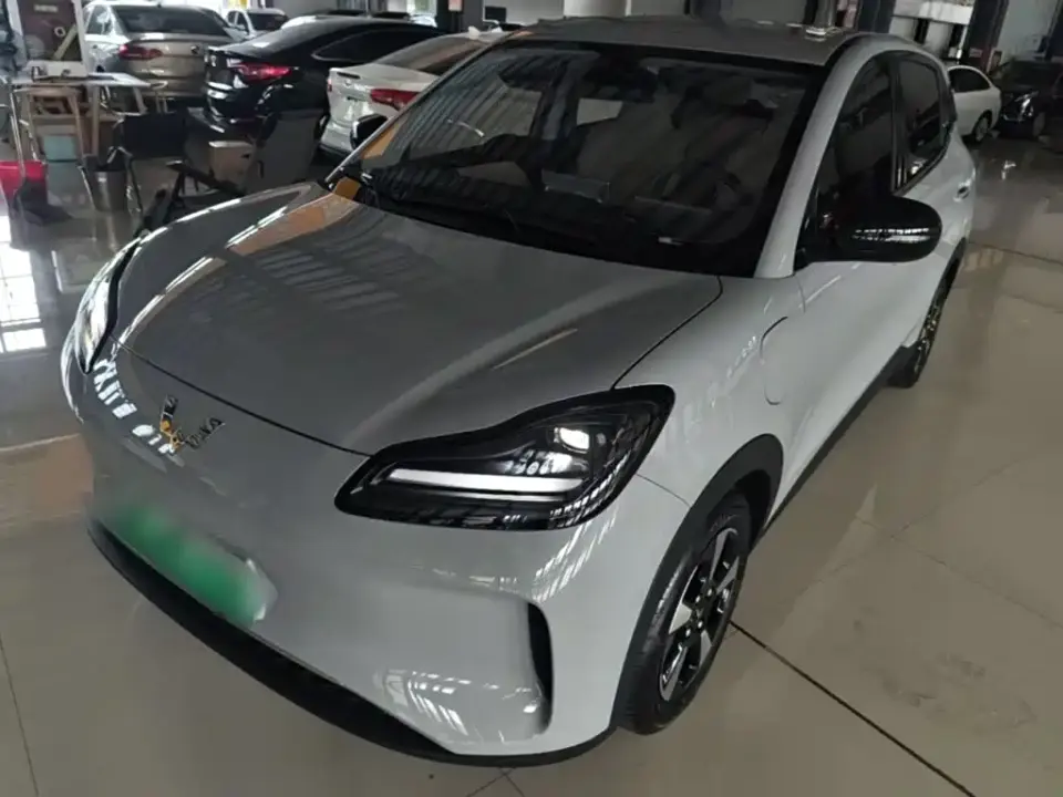 Wuling Motors Wuling Binguo PLUS Model 330km 5-Seater 2024