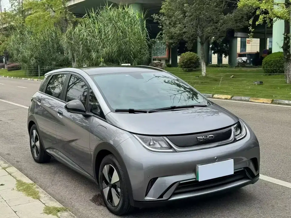 BYD Dolphin 420km Fashion Edition 2024