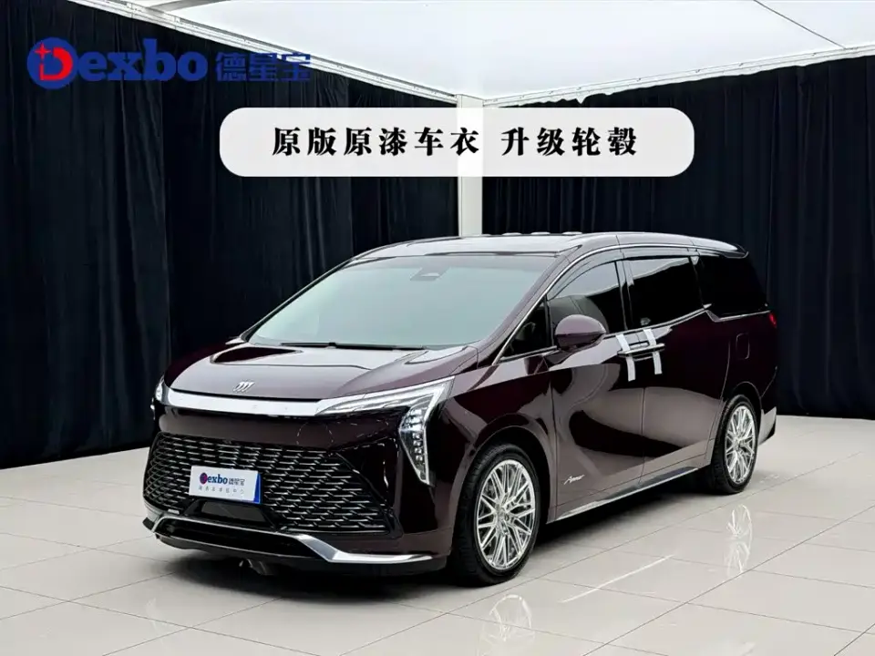 Buick Century 2.0T 7-Seater World Edition 2024