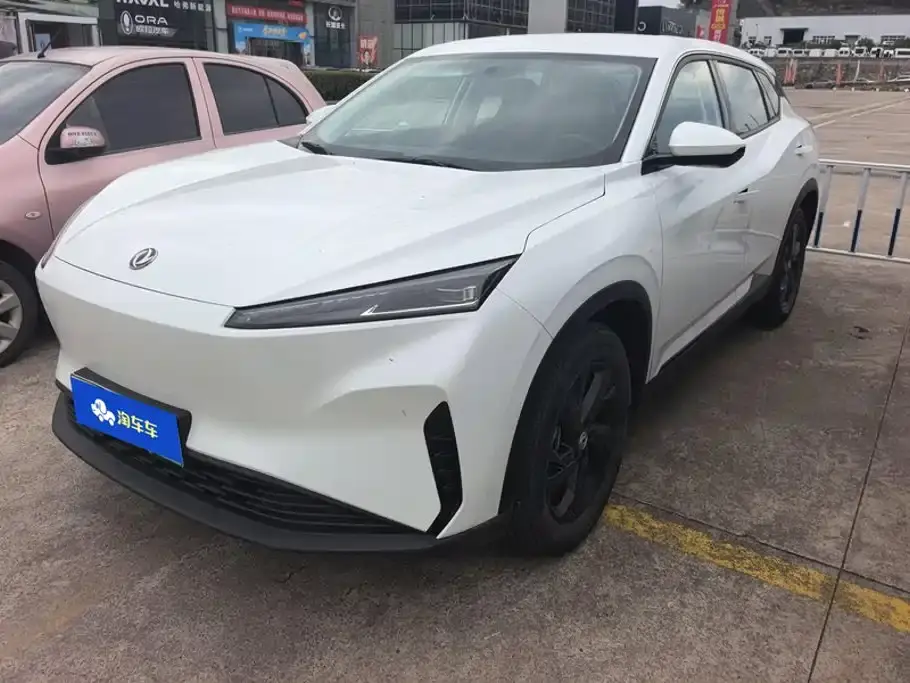 Dongfeng Aeolus SKY EV01 Model 445km PRO 2024