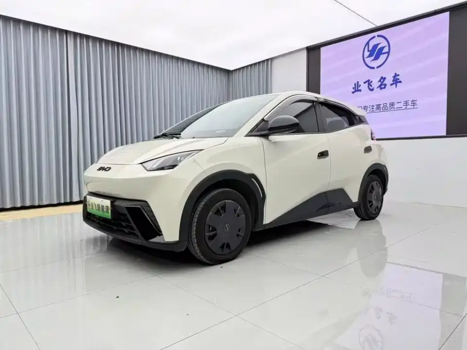 BYD Seagull Glory Edition 305km Vitality Edition 2024