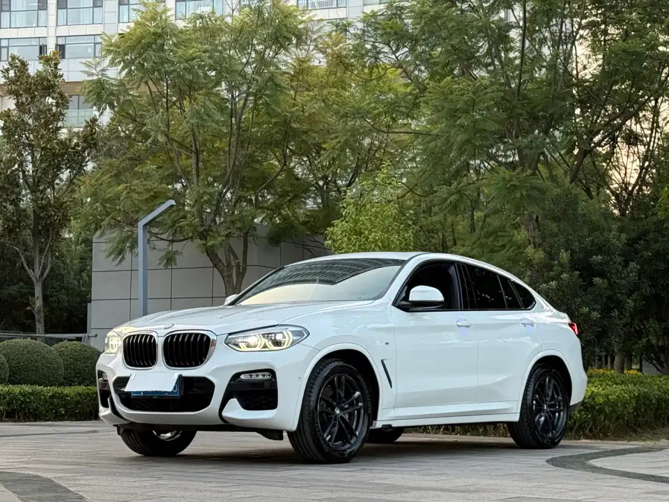 BMW X4 xDrive25i M Sport Package 2019