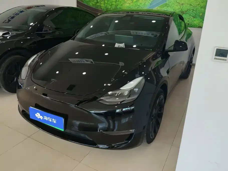 Tesla Model Y Model Long Range AWD 2021