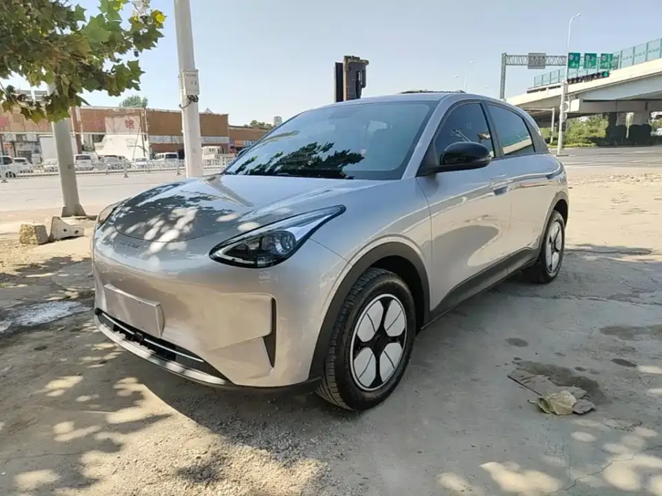 Geely Galaxy Starry Wish Edition 310km Youth Version 2025
