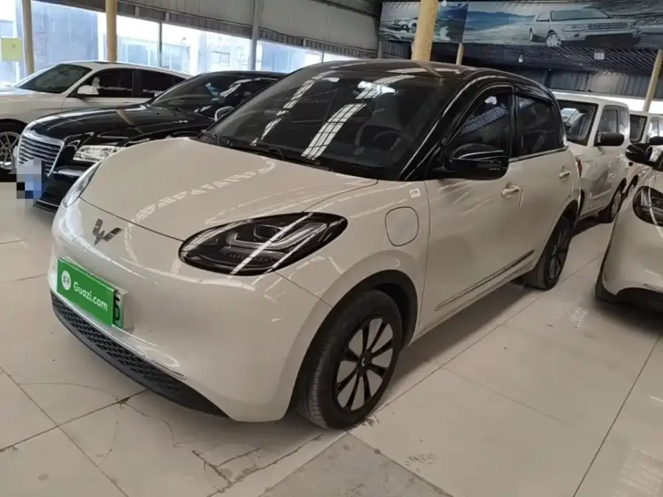 Wuling Motors Wuling Bingo 410km Lingxi Premium Edition 2024