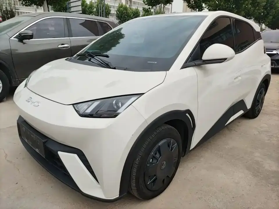 BYD Seagull Glory Edition 305km Vitality Edition 2024