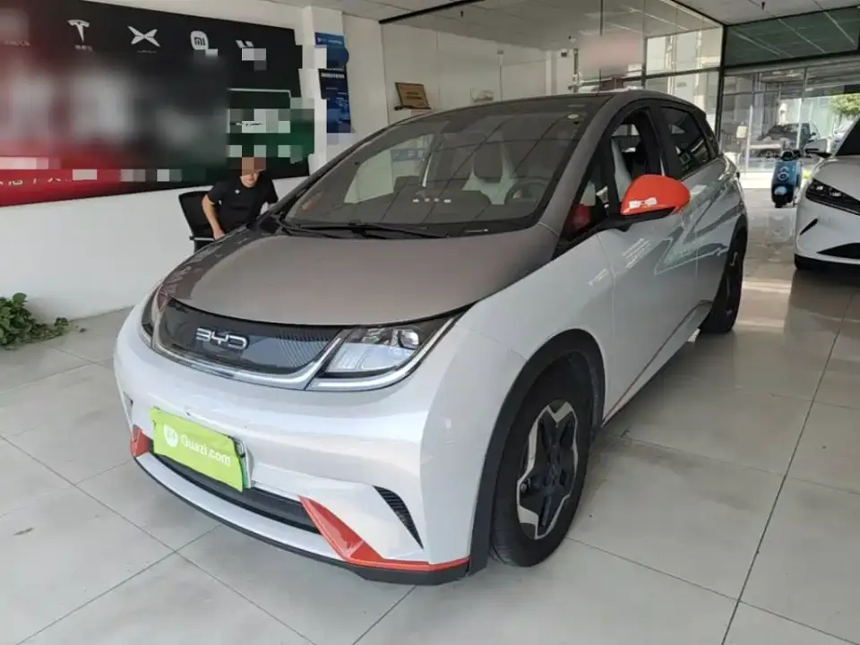 BYD Dolphin Model 405km Fashion Edition 2021
