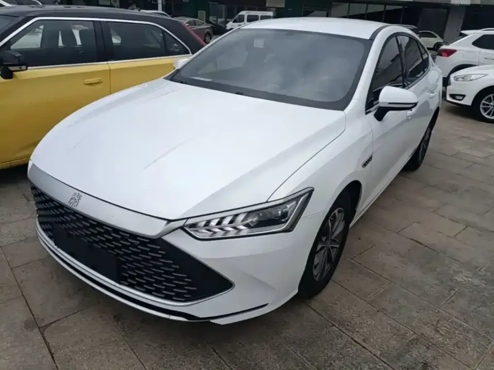 BYD Qin PLUS Glory Edition DM-i 55KM Leading 2024