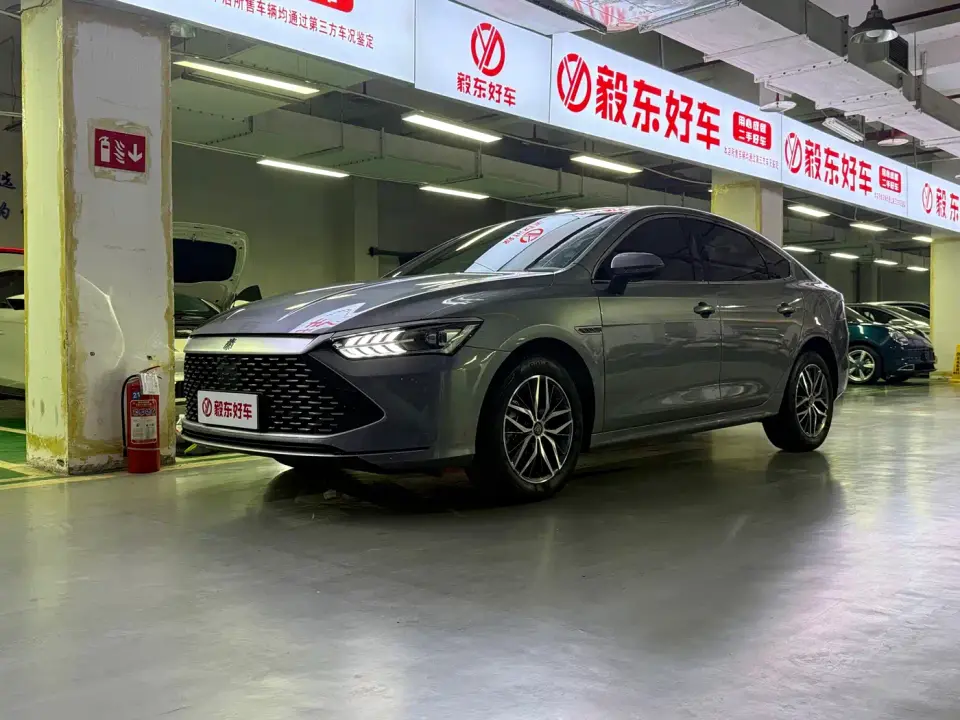 BYD Qin PLUS Champion Edition DM-i 120KM Leading Type 2024