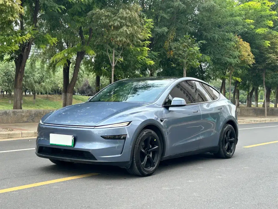 Tesla Model Y Long Range All-Wheel Drive 2025