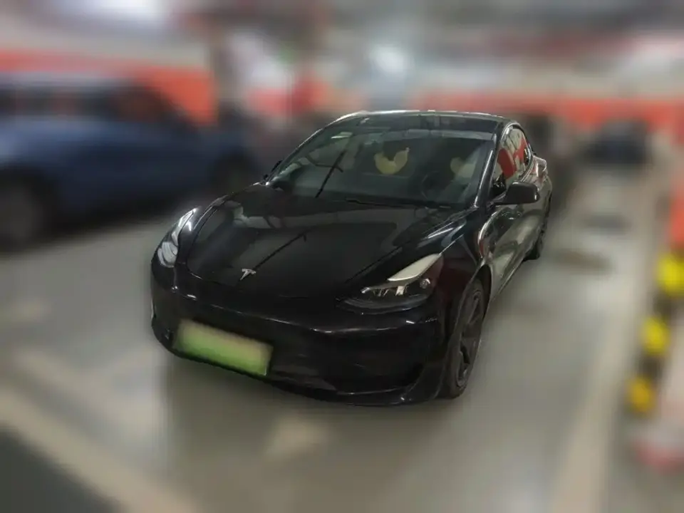 Tesla Model 3 Standard Range Rear-Wheel Drive Upgrade 2021