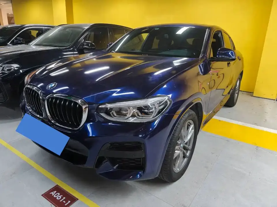 BMW X4 xDrive25i M Sport Package 2020
