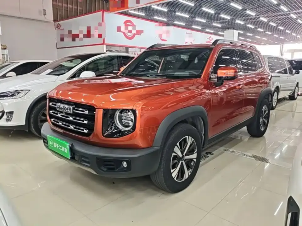 Haval Big Dog 1.5T DCT 2WD Labrador Edition 2020