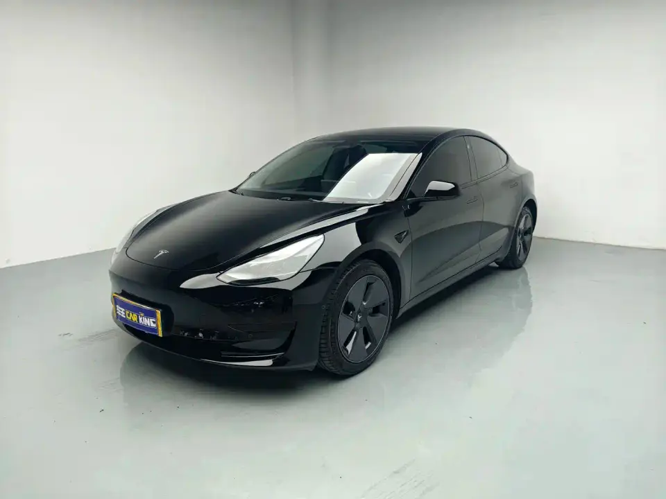 Tesla Model 3 Model Rear-Wheel Drive Version 2022