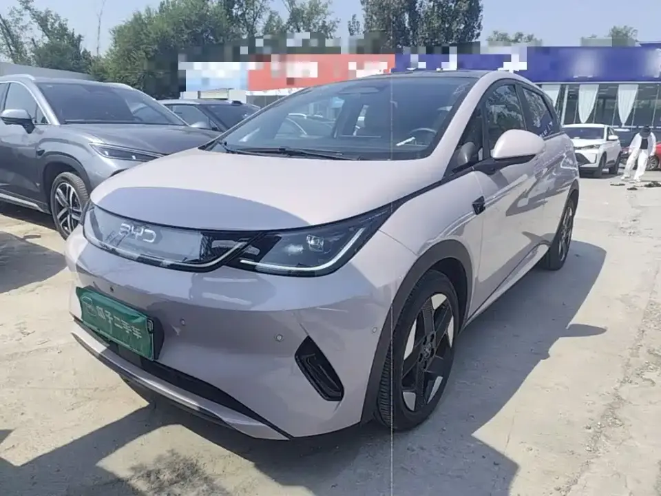 BYD Dolphin Smart Drive Edition 520km Knight Version 2025